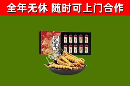 巍山县回收冬虫夏草价格