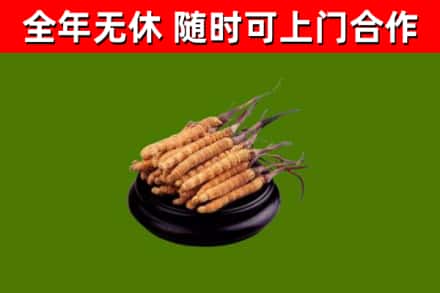 巍山县烟酒回收冬虫夏草.jpg